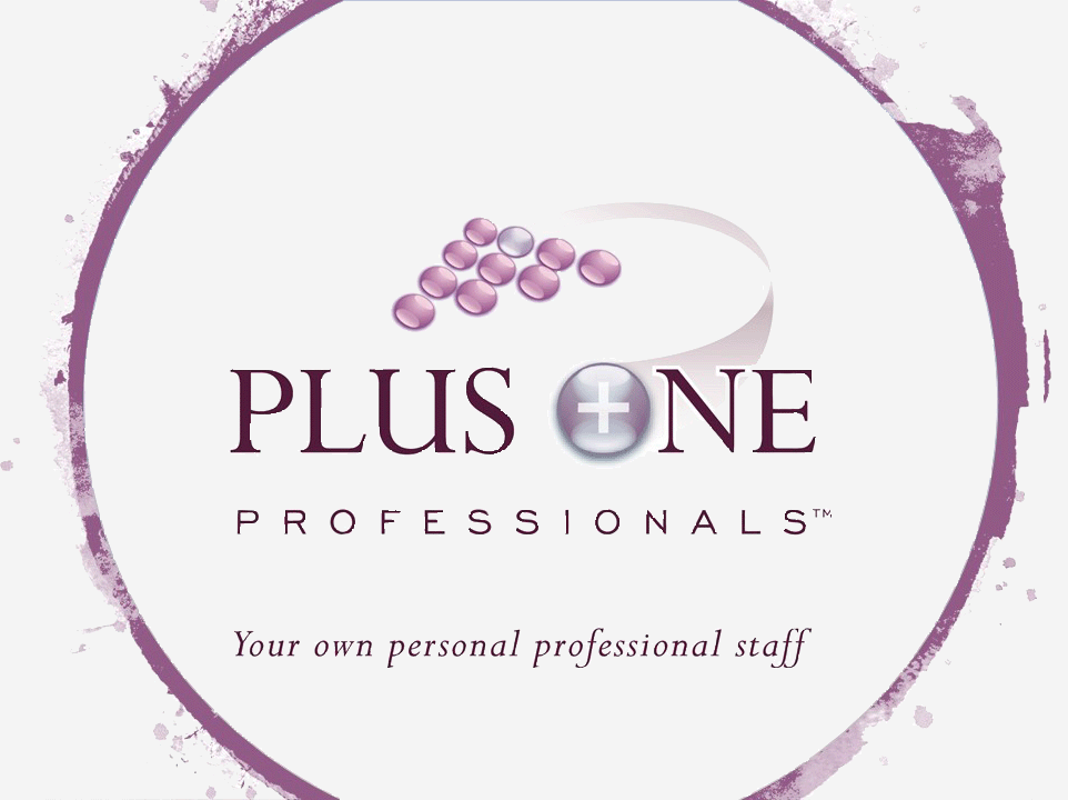 Plus One Logo